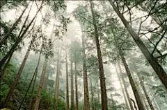 壁纸壁纸-高清壁纸壁纸-壁纸壁纸大全-全景壁纸