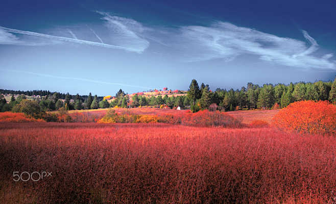 Countryside View by ...