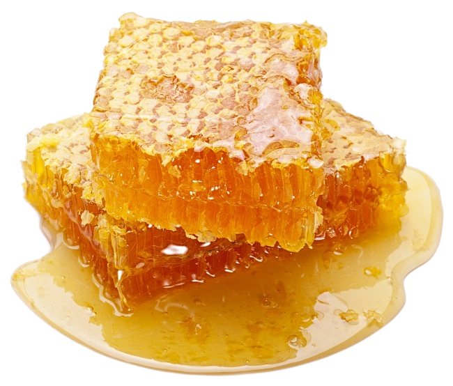 蜂蜜png (16)