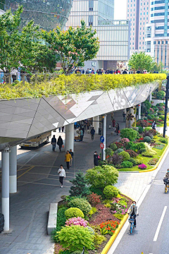 HZ-度采集到景观-道路绿化