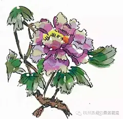 【赞】迎G20?花港推出双语手绘地图,?更有暖心“福利”-搜狐旅游!!!