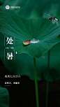 处暑节气祝福排版手机海报