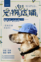 可爱萌宠物猫狗美容医院动物保护理开业海报促销宣传 (25)