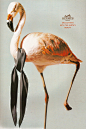 Beautiful Hermes editorial advert.