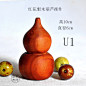 U1