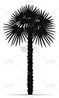 棕榈树黑色轮廓剪影矢量插图