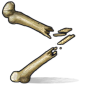 Bone Fragments icon