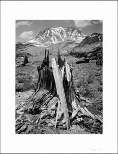 千百度华哥采集到Ansel Adams