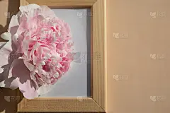 粉彩木框装饰牡丹花，仿空间。画框和新鲜切割美丽的牡丹在柔和的背景。模拟推广，标题，设计，博客和社交媒