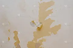 墙上有残留的墙纸。立墙之里