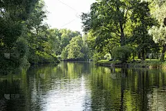 池塘间绿树成荫，水，公园，夏季，景观