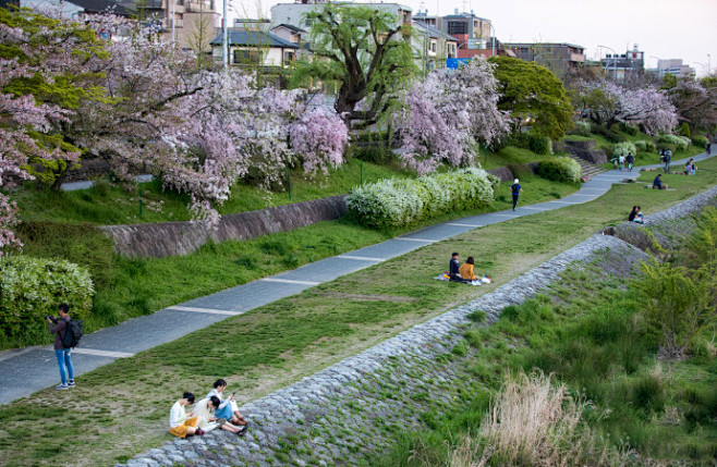 京都鸭川