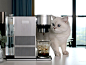 BREZI Cold Brew Coffee Machine