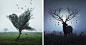 Photographer Creates Poetic Collages by Seamlessly Blending Stock Photos : We look at the surreal collages that digital artist Justin Peters is creating. At just 22 years old, he's making a name for himself with his digital art that seamlessly blends toge