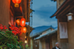 路遥之采集到淘宝广告参考