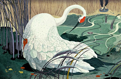 Mina小白采集到倪传婧(Victo Ngai)