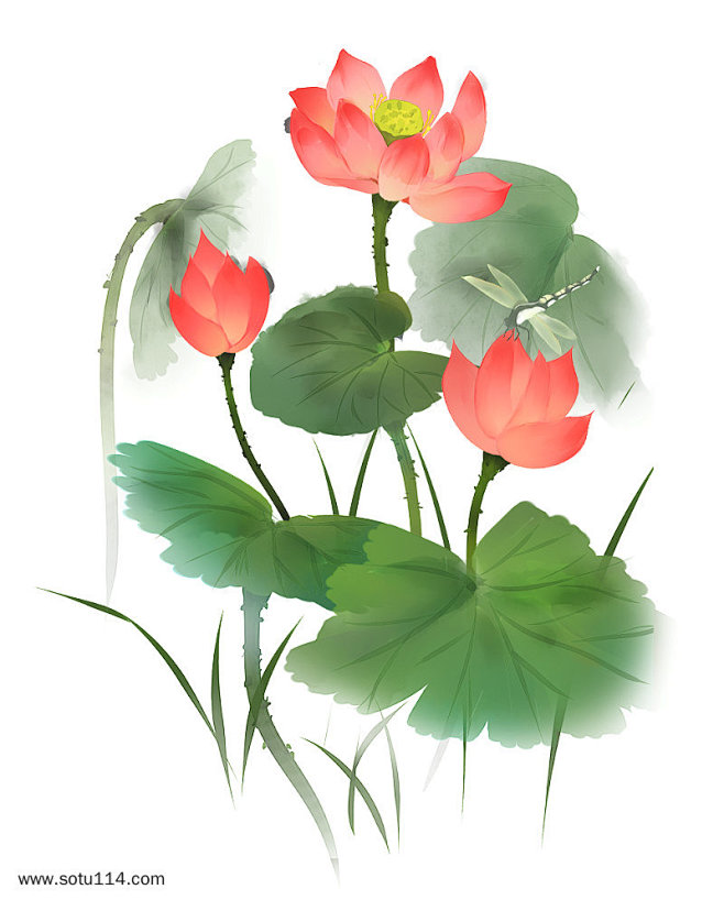 中国风荷花水墨画手绘图片png免抠元素卡...