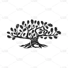 巨大和神圣的橡树剪影标志孤立在白色的背景。