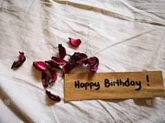 床,生日,信函,周年纪念,请柬,贺卡,背景分离,边框,消息,纹理