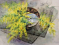 日本美女水彩画家 永山裕子 一组水彩花卉绘画