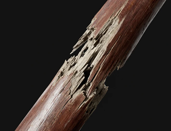 断裂漆木柱子/Broken lacquered wood pillar-花瓣网