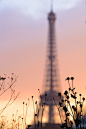 (5) Tumblr