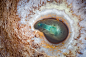 Geothermal Art : Top down shots of geothermal areas in Iceland
