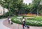 鹦鹉螺曲线：上海曹家渡花园口袋公园更新设计 / VIA维亚景观 – mooool木藕设计网