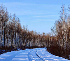 柳丁小鹌鹑采集到冰_雪_雪山_
