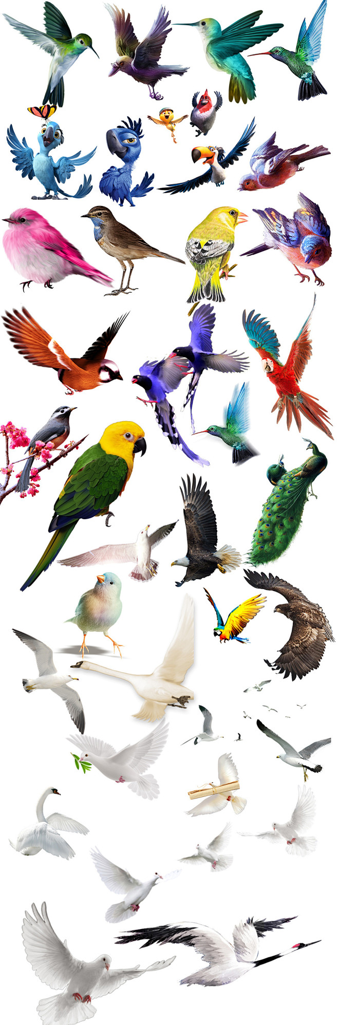 飞禽鸟小鸟鸟素材彩绘鸟水彩鸟卡通鸟鸟类png免扣素材彩色鸟飞翔小鸟