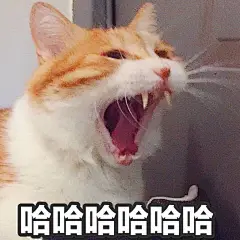 你手机里最搞笑的表情包是哪个？（请关闭水印）？ - 知乎 _表情包采下来 #率叶插件，让花瓣网更好用#