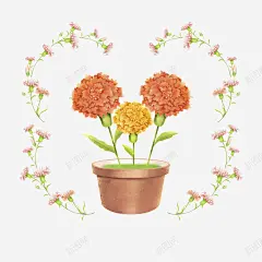 一盆康乃馨手绘插画 设计图片 免费下载 页面网页 平面电商 创意素材