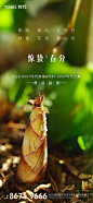惊蛰
