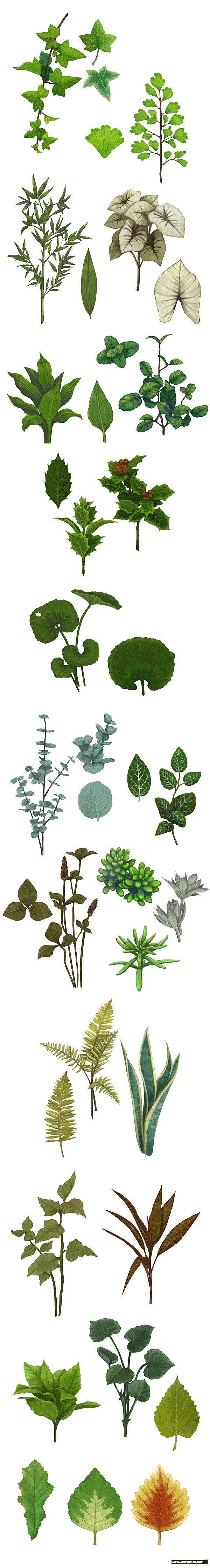 各种植物的绿叶素材~皆为PNG版本。在做...