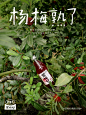 #望梅好溯源计划#农人版