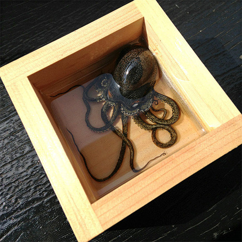 【树脂画作品欣赏】