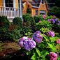 75 Most Popular Victorian Landscaping Design Ideas for 2019 - Stylish Victorian Landscaping Remodeling Pictures | Houzz