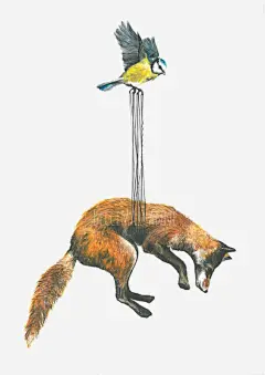 创意动物插画高清素材 创意 手绘动物 搞笑 狐狸 鸟 免抠png 设计图片 免费下载