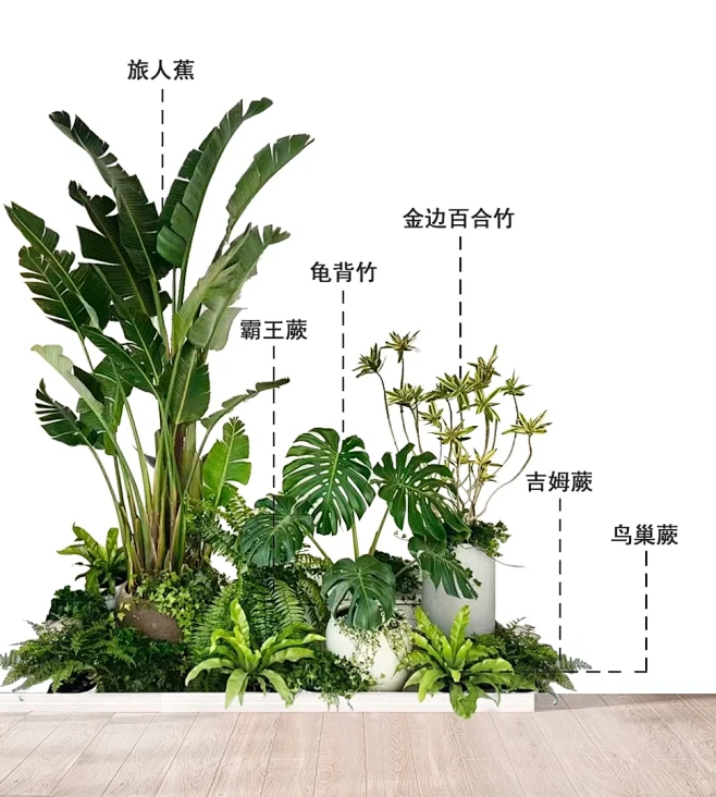 室内绿植景观｜令空间充满活力