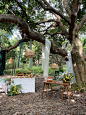 自然温柔，富有生命力的大树婚礼 : wedding under the tree森林里的婚礼，虫鸣鸟叫，随性洒脱，清风自然，树下宣读誓言，大家为我们见证。在森林里呼唤呐喊，热泪盈眶。今天这片只属于你我的秘境，释放着一种真实且恒久，无