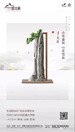 师傅别闹采集到数字