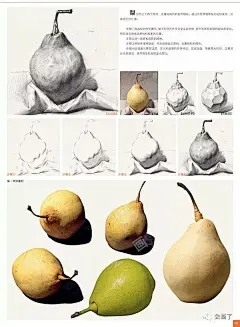 会画了会员福利：山东美术联考照片大全/湖北美术联考照片大全（素描静物篇）_训练 : 【素描静物的基础知识】 【单体训练】 【静物组合】 【照片对临】 【素描考前训练】 【模拟考题题库】 更多地区的联考干货尽在会画了 “会画了电子书”每天更新内容， 更新资源，更新课件！ 进入“会画了电子书”下