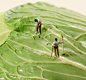 This contains an image of: 