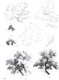 【新提醒】树木的素描书 - 游戏原画与插画 - CGJOY