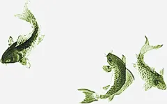 中国风鱼儿水墨免抠素材_新图网 https://ixintu.com 国风 水墨 设计 鱼儿