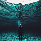 ins：cedricdasesson