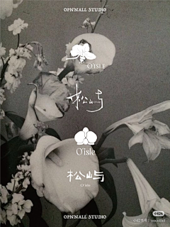 RGBBBB采集到logo