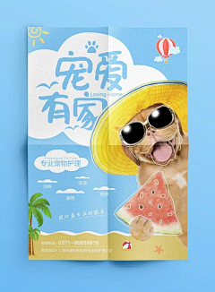 ZScorpioo采集到S  食品