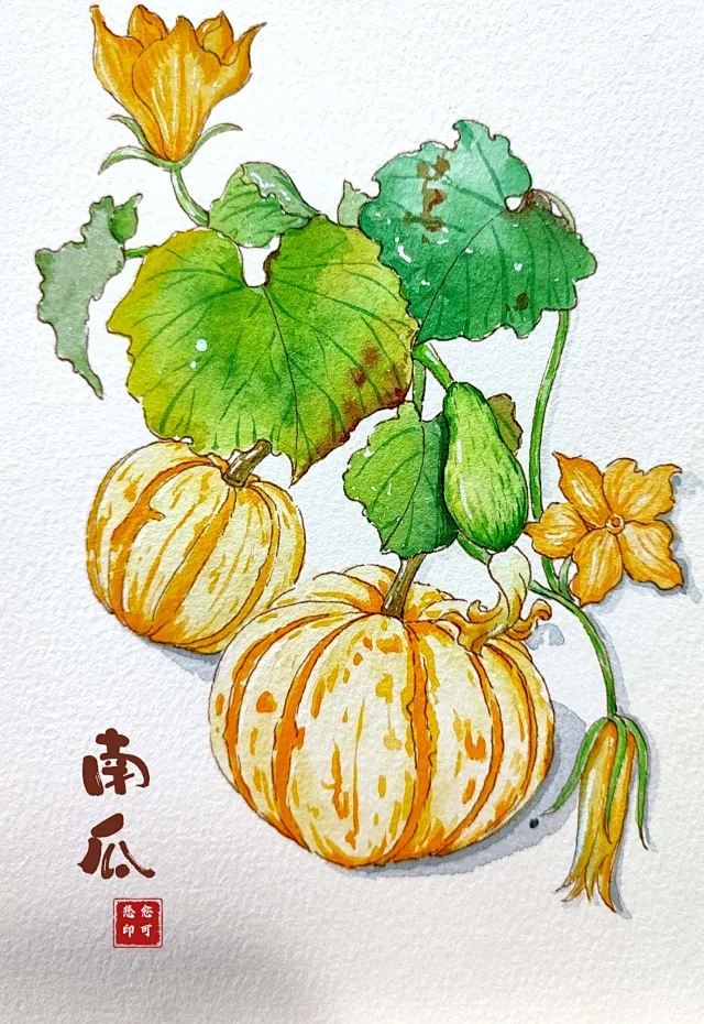 小红书 - 你的生活指南-花瓣网