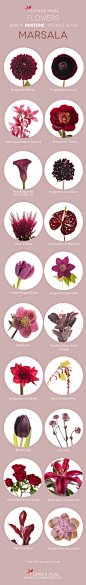 2015 Color of The Year Marsala Flower Inspiration - on Flower Muse Blog: http://www.flowermuse.com/blog/marsala-flowers/: 